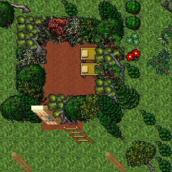 Mangrove 4 preview